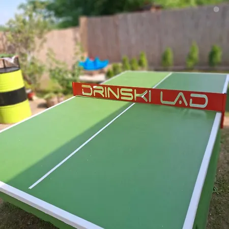 Vikendica Drinski Lad 펜션